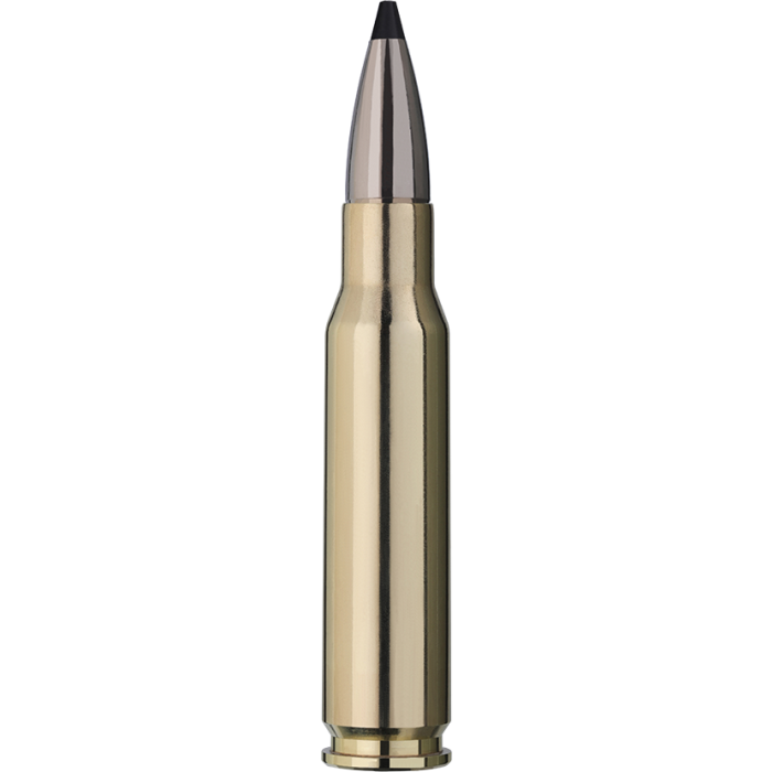 RWS .308 Win. 10,7 g Speed Tip ( 20 sztuk )